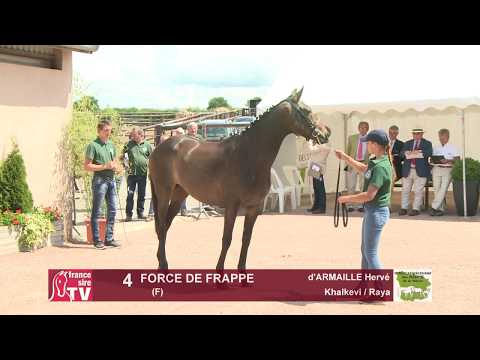 Concours Cercy 2017 - Lot 4 - Force de Frappe