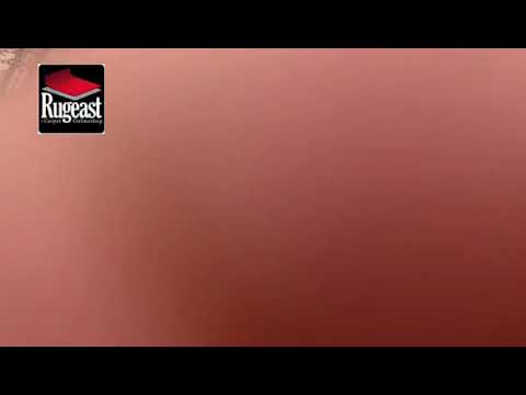 Rugeast Moud 366 x 257 cm Orientteppich Handgeknüpft