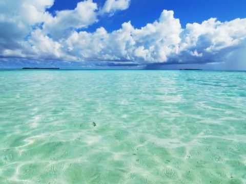 PERO PANJKOVIĆ  -  Golubice mala