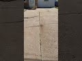 Satisfying Driveway Repair in Moline, IL