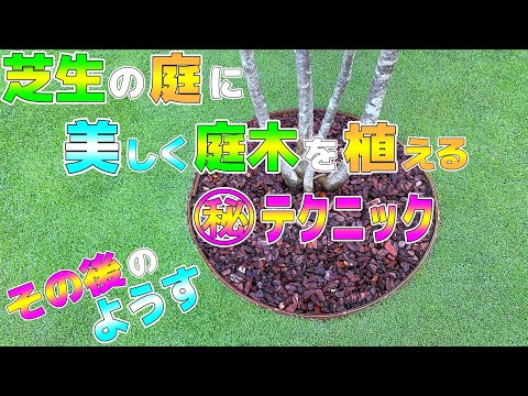 園芸 芝生を植える