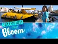 JELLYFISH Super BLOOM in the RED SEA |  Aqaba Neptune Submarine Glass Boat | Family Friendly Tour