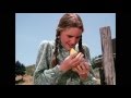Cinnamon Chicken Little House On The Prairie Style Laura And Nellie Trying To Win Almanzo