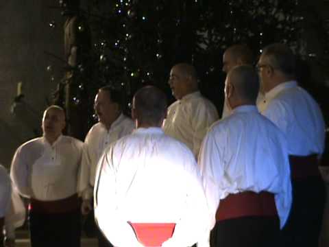 klapa carolo