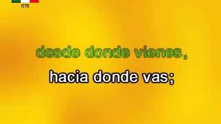 MISTER MANDARINO DEMO KARAOKE - Matia Bazar