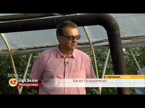 Зелена оаза на 25 км од Скопје - Брат и сестра создале органска градина за сечиј вкус и мерак