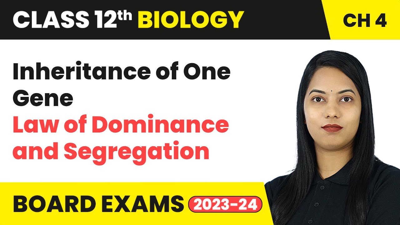 Inheritance of One Gene Law of Dominance and Segregation | Class 12 Biology Chapter 4 | CBSE 2024-25