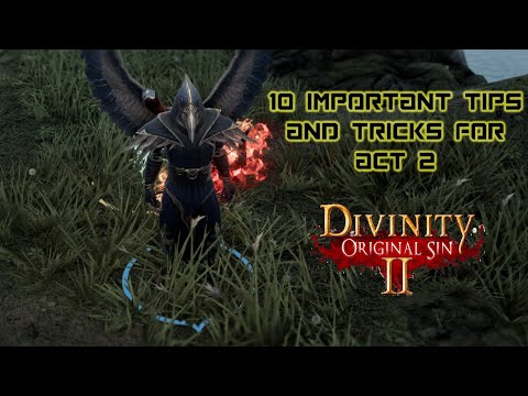 10 IMPORTANT TIPS AND TRICKS FOR SUCCESS IN ACT 2 | DIVINITY: ORIGINAL SIN 2