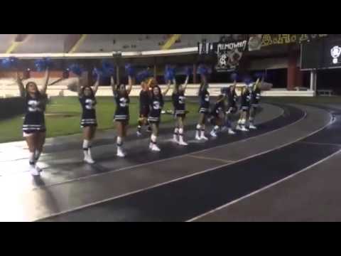 Remo 4 x 0 Náutico RR - Leoas e Remoçada agitando no intervalo