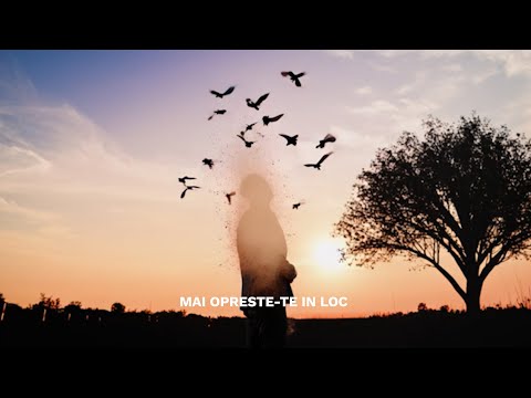 NIKOLAS ⌛MAI OPRESTE-TE IN LOC⌛OFICIAL VIDEO