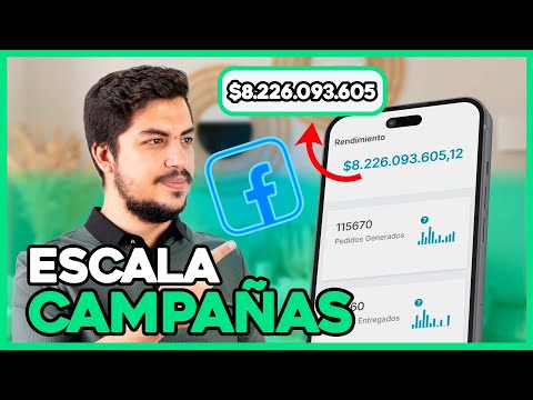 Escalar Facebook Ads Dropshipping: Sin Perder Dinero