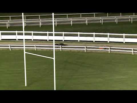 2021.06.18. 07. futam - Kincsem Park Magyar Derby Negyeddöntő IV. futam