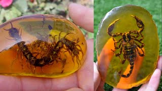 ✔ Fosilización en ámbar - Cómo se forma y cuáles son los pasos 🦂/ Fossilization in amber
