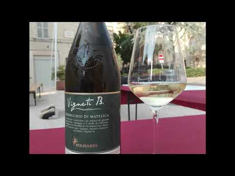 Verdicchio di Matelica