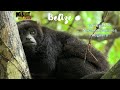 Raw Travel Episode 116 Belize Full International Episode
