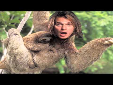 David Lee Sloth - PICKLE TV