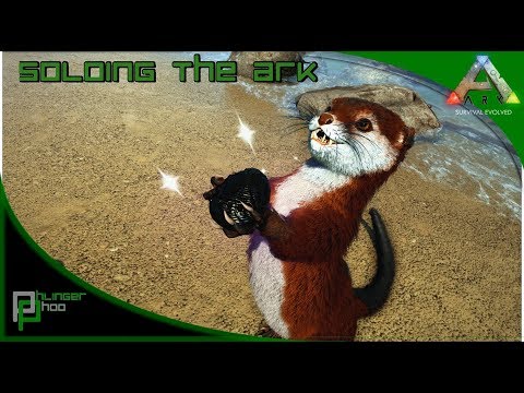 Soloing the Ark S4E50 - OTTER! WHERE TO FIND AND HOW TO TAME!