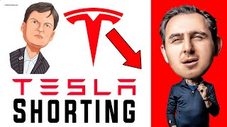 Why did Michael Burry SHORT TESLA?