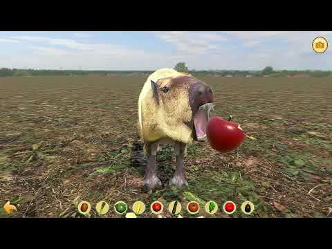 Capivara Clicker 2 · Jogar Online Grátis