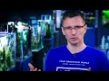 PLANTED TANK FERTILIZERS MASTERCLASS - AQUARIUM PLANT FERTILIZING GUIDE PLANTED TANK FERTILIZERS MASTERCLASS - AQUARIUM PLANT FERTILIZING GUIDE