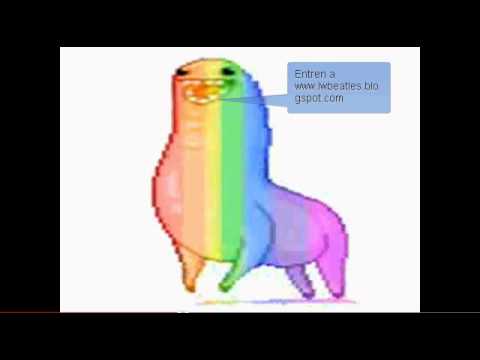 RuubenRodrigz’s Video 102784528893 r53k6ngDnhY