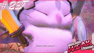 【FAINAL FANTASY XIV】覚醒せし者たち#23