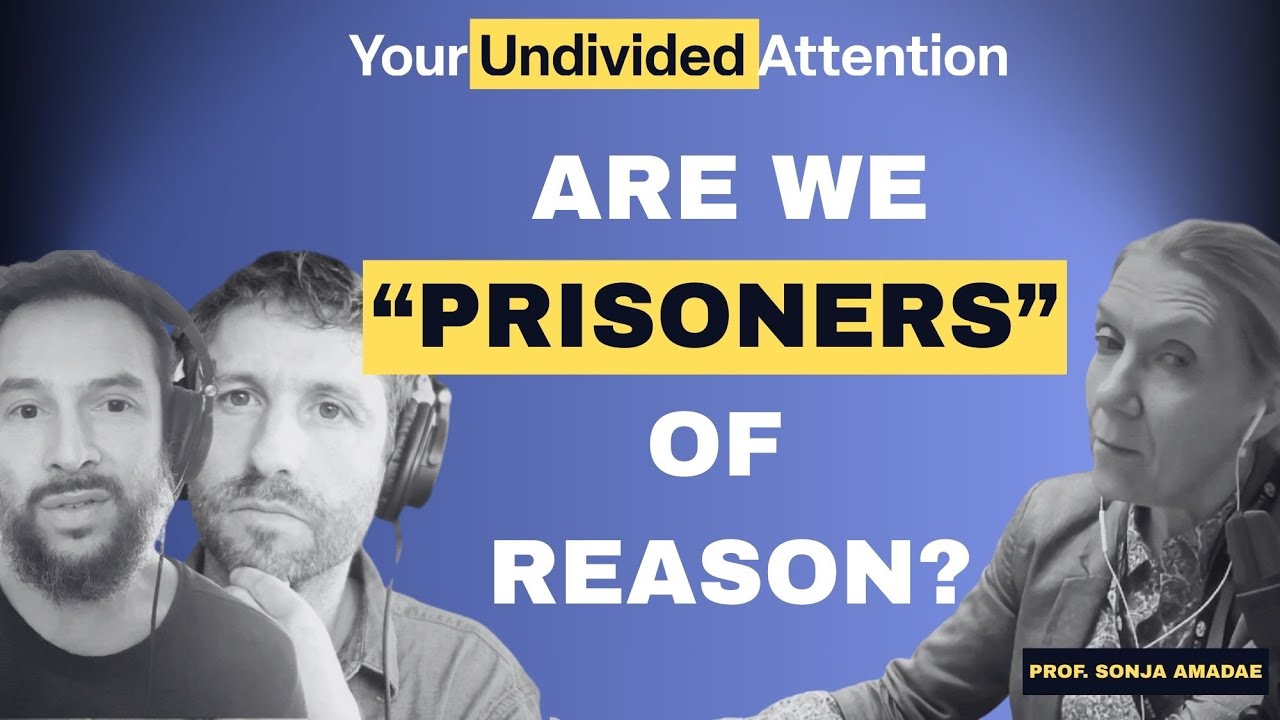 Are we "prisoners" of reason? Prof Sonja Amadae on the world game theory built.