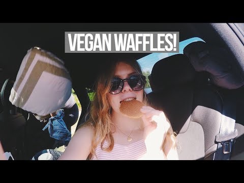 download lagu mp3 mp4 Amsterdam Vegan Waffles, download lagu Amsterdam Vegan Waffles gratis, unduh video klip Amsterdam Vegan Waffles
