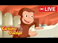 LIVE Curious George Full Episodes Help George Clean His Teeth More