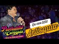 PASCUALILLO CORONADO MIX LLORAS POR MI QUERER DR ANTIOQUIA HRI 2020