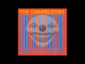 The Chameleons - Lufthansa