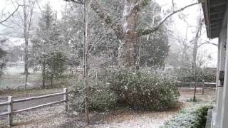 preview picture of video 'Snow In Alabama, And A Furious Cat'
