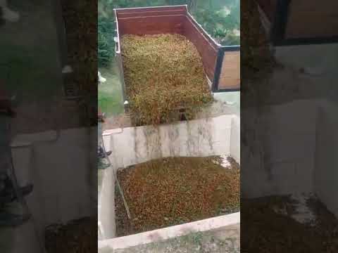 Raspa de café antes de la renovación #café #agricultura