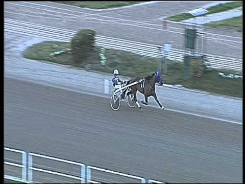 Trotto 06/03/2016 - prova di qualifica