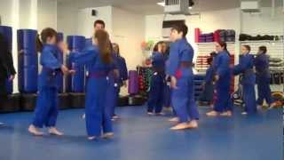 preview picture of video 'Silbers Martial Arts  Jr. Brazilian Jiu-jitsu Class- West Hempstead'