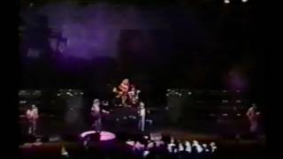 Def Leppard - All I Want is Everything (Live)