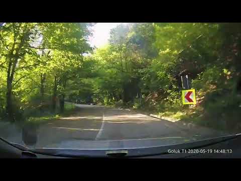 Bozovici - Resita, Caras Severin, Romania [DN 57B] [DN 58] [2020]