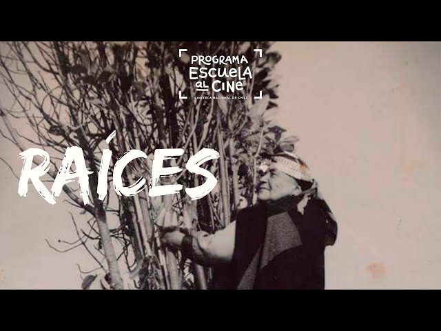 Raíces - Nahuel Espinoza