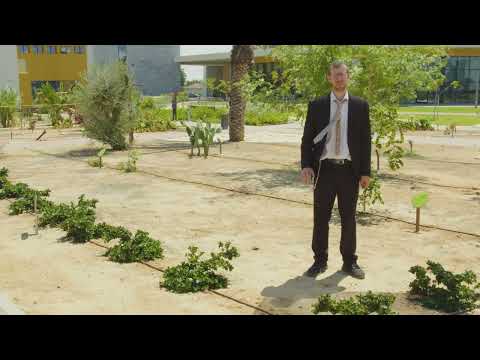 Gan HaMitzvot#5- Waiting Area, Orlah