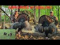 2 Gobblers 1 Gun WI Turkey Hunt Crazy Hunt