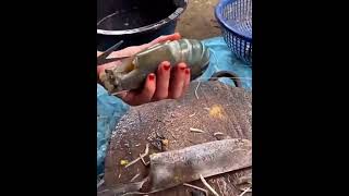 Big prawn, how to clean?, #food #prawns #shrimp #shorts #cleaning #learning #howto