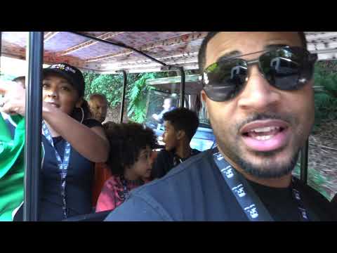 The Ellises: Vlog 110 - The San Diego Zoo