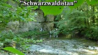 preview picture of video 'Schluchtensteig August 2009 Hiking Black Forest'