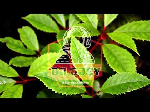 Dj Djey - C'est comment