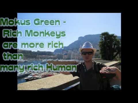 Rich Monkeys are more rich than rich Human - Mokus Green