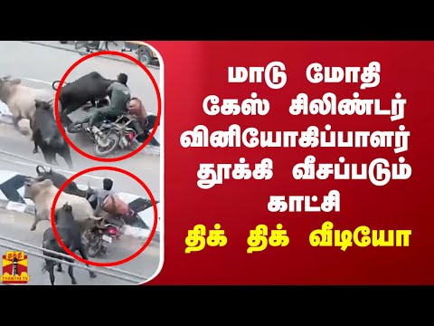 மாடு மோதி கேஸ் சிலிண்டர் வினியோகிப்பாளர்  தூக்கி வீசப்படும் காட்சி.. திக் திக் வீடியோ