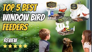 Top 5 Best Window Bird Feeders of 2026 🐦 | Watch Birds Up Cl