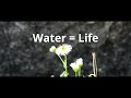 Water Life Award Winning Short Film HD