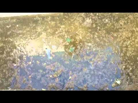 Portogruaro: "It's time to clean up" the dirty water of fountain