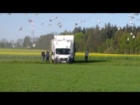 Cihovice 2017.05.14.